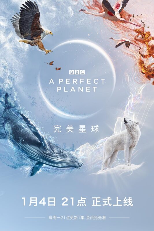 完美星球 A Perfect Planet (2021) [9.6分]【4K】【中英】【49G】-红影盘社区